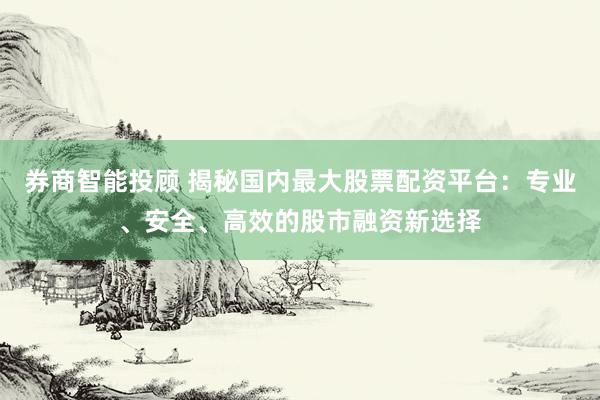 券商智能投顾 揭秘国内最大股票配资平台：专业、安全、高效的股市融资新选择
