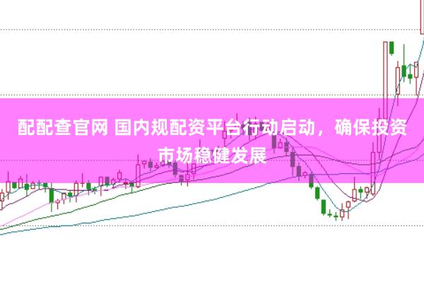 配配查官网 国内规配资平台行动启动，确保投资市场稳健发展