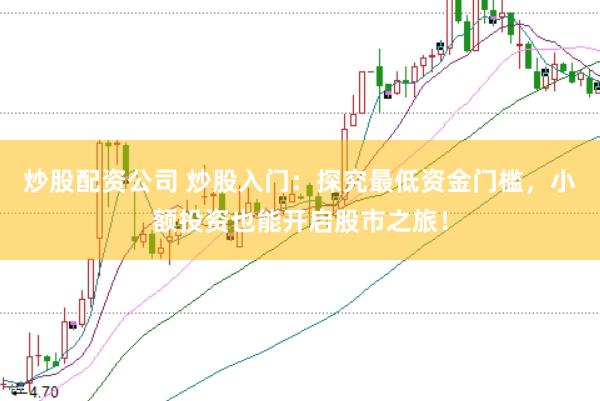 炒股配资公司 炒股入门：探究最低资金门槛，小额投资也能开启股市之旅！