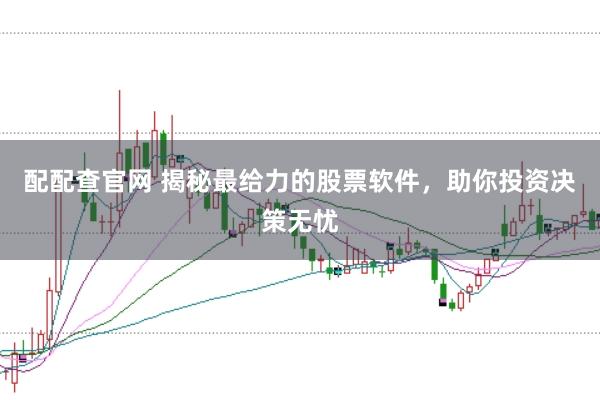 配配查官网 揭秘最给力的股票软件，助你投资决策无忧