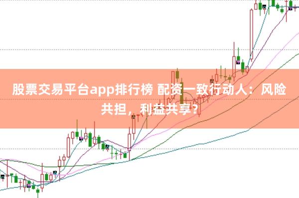 股票交易平台app排行榜 配资一致行动人：风险共担，利益共享？