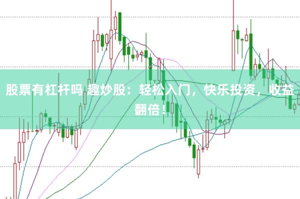股票有杠杆吗 趣炒股：轻松入门，快乐投资，收益翻倍！