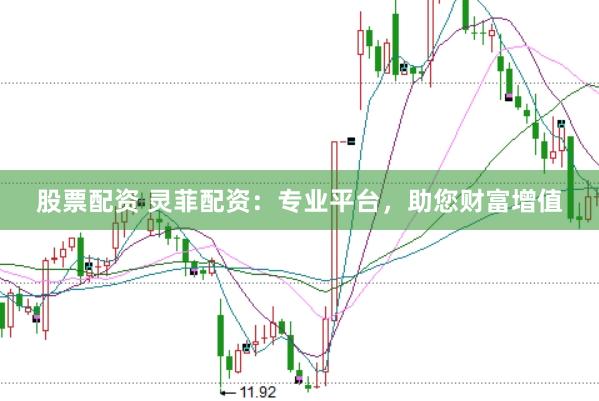 股票配资 灵菲配资：专业平台，助您财富增值