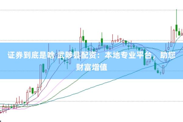 证券到底是啥 武陟县配资：本地专业平台，助您财富增值