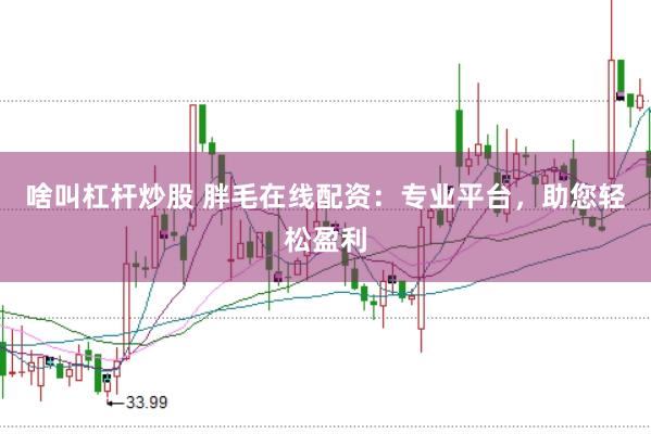 啥叫杠杆炒股 胖毛在线配资：专业平台，助您轻松盈利
