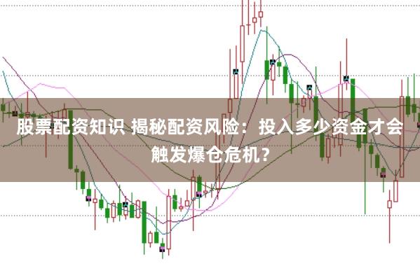 股票配资知识 揭秘配资风险：投入多少资金才会触发爆仓危机？