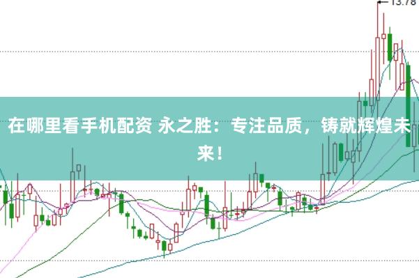 在哪里看手机配资 永之胜：专注品质，铸就辉煌未来！