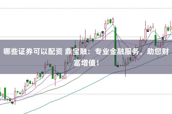 哪些证券可以配资 鼎宝融：专业金融服务，助您财富增值！