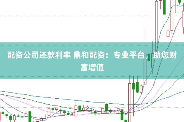 配资公司还款利率 鼎和配资：专业平台，助您财富增值