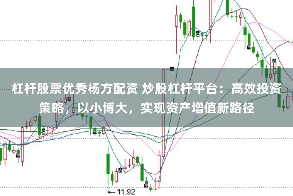 杠杆股票优秀杨方配资 炒股杠杆平台：高效投资策略，以小博大，实现资产增值新路径