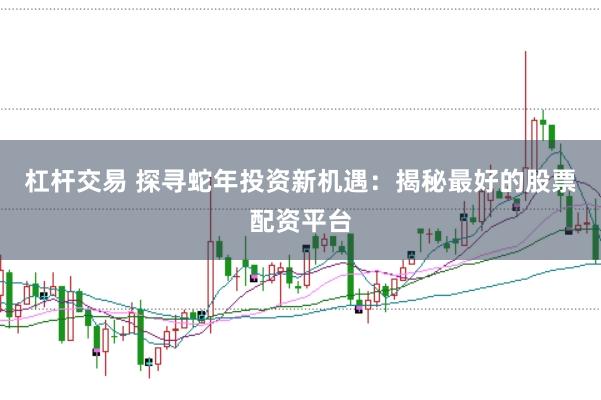 杠杆交易 探寻蛇年投资新机遇：揭秘最好的股票配资平台