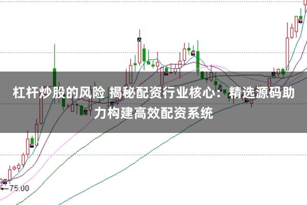 杠杆炒股的风险 揭秘配资行业核心:精选源码助力构建高效配资系统