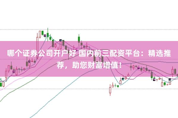 哪个证券公司开户好 国内前三配资平台：精选推荐，助您财富增值！