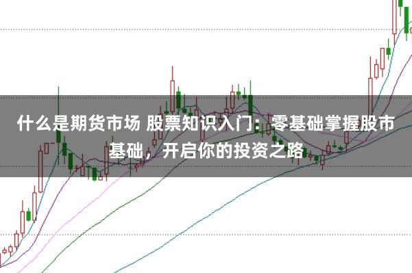 什么是期货市场 股票知识入门:零基础掌握股市基础,开启你的投资之路