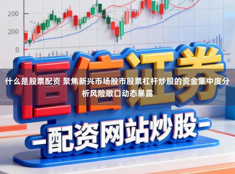 什么是股票配资 聚焦新兴市场股市股票杠杆炒股的资金集中度分析风险敞口动态暴露